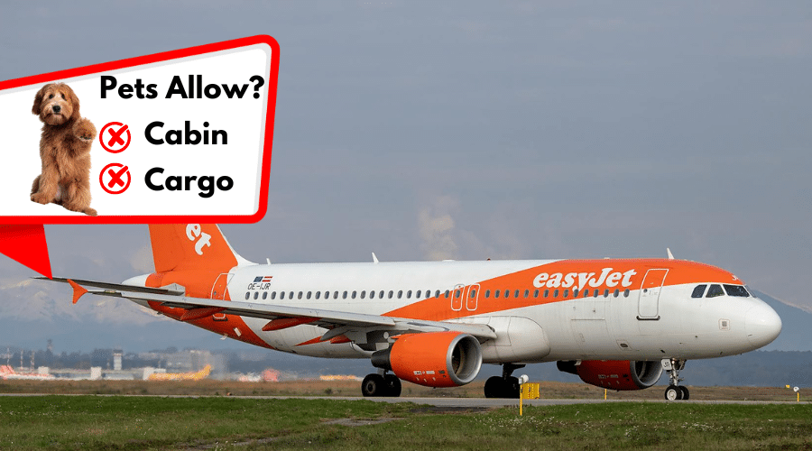  EasyJet (UK)
