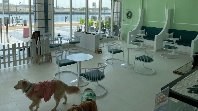 Happy Bark Day Pet-Friendly Restaurants & Cafes in Dubai