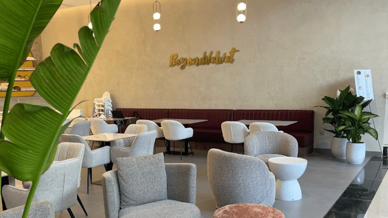 Beyond Velvet Pet-Friendly Restaurants & Cafes in Dubai