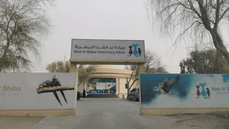 10 BEST VETERINARY CLINICS IN DUBAI 2026 intelligence overview