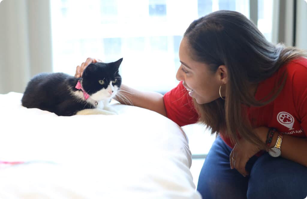 Cat sitter from Pawland petting a cat