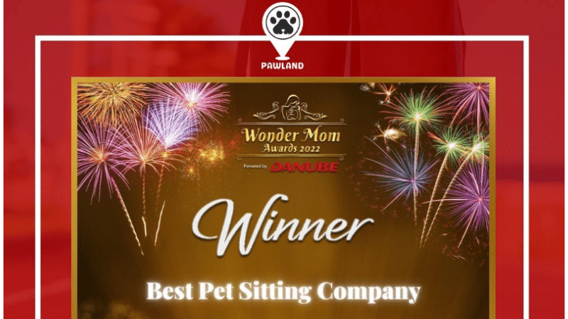 No 1 Pet sittting Company in dubai