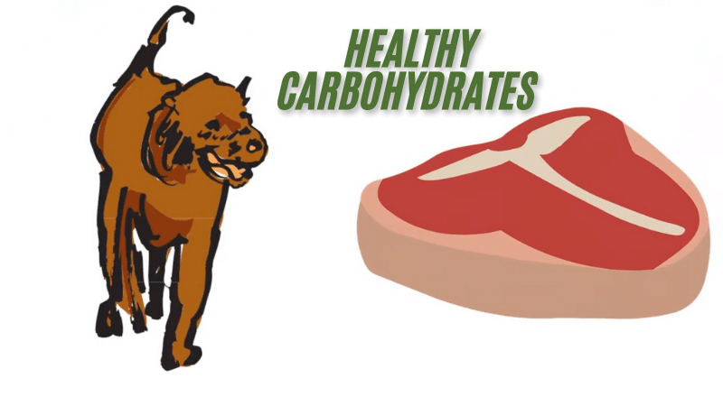 Healthy Carbohydrates-Protein Ingredients for pet food