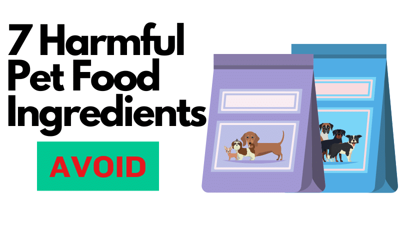 Harmful Pet Food Ingredients
