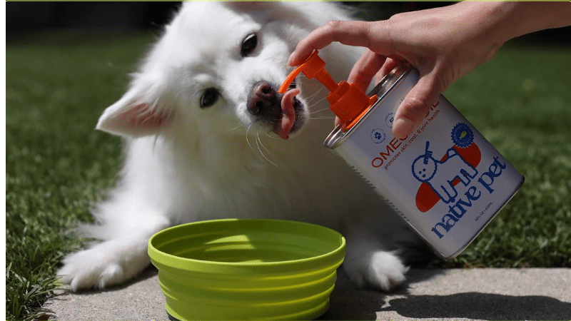 Omega-3 Fatty Acids Ingredients for pet food
