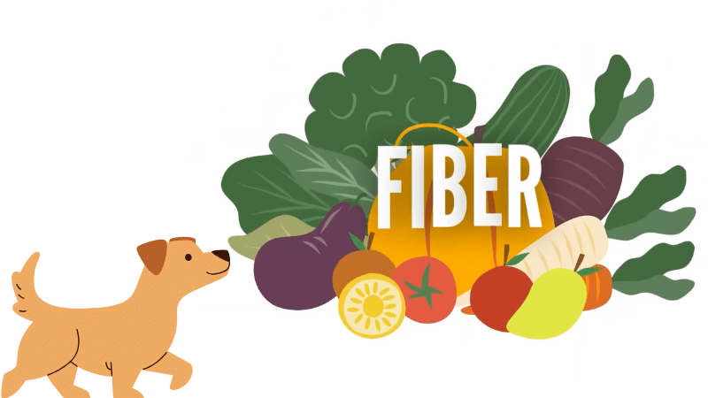 fiber Ingredients for pet food