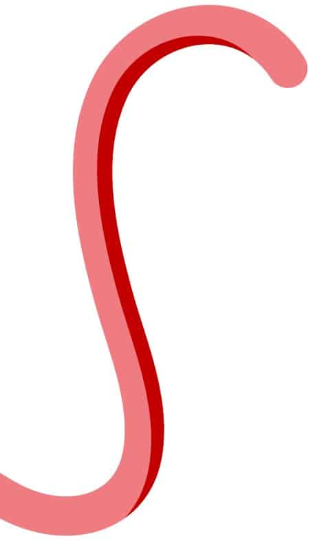 Line curve shape red and pink