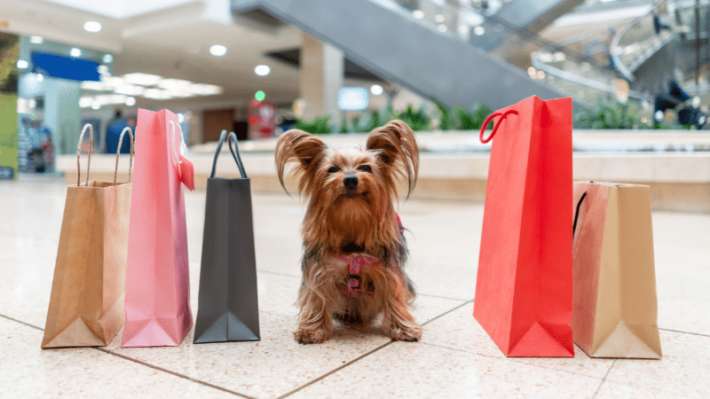 pet shop