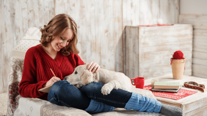 A girl in a red dress writing near a calm, gray dog showing how pets can be happy at home.