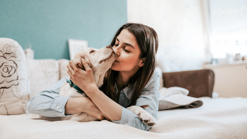 A dog sitter is giving a kiss to a dog, making the dog happy.