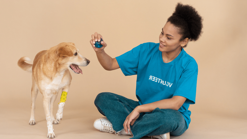 A man is playing fetch with his dog to keep it happy.