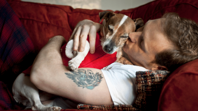 Dog sitter cuddling and sleeping with dog on sofa during in-home pet care