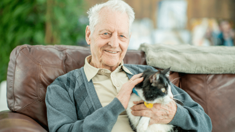 A skilled and trusted senior pet sitter lovingly cuddles a calm, happy cat