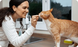Cat sitter caring a cat