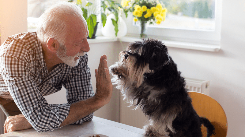 Dog sitter gently caring for a happy dog at home
