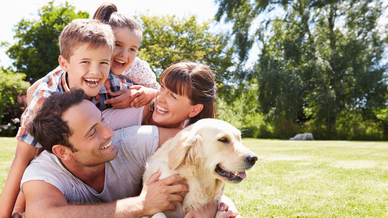 White dog lying on four people’s heads, showing dog socialization and trust.