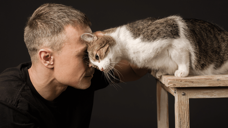 A man in a black T-shirt and a cat touching heads, sharing a silent understanding.