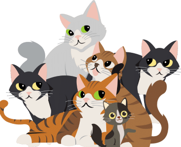 A variety of cats with different appearances and their unique names displayed.