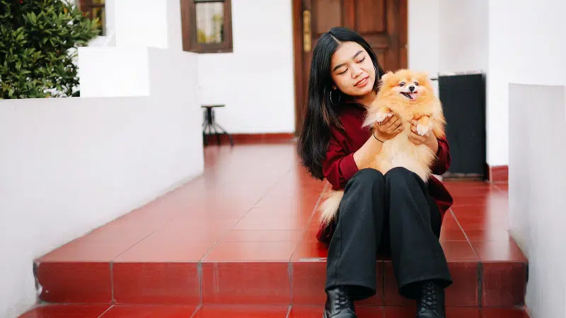 Brown mini Pomeranian wearing a red dress being held by a certified Pawland pet sitter in UAE