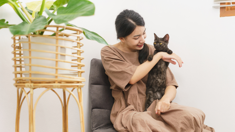 Pawland verified cat sitter lovingly holding and cuddling a happy cat
