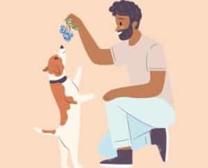 Dog owner feeding fresh blueberries by hand to their happy dog outdoors.
