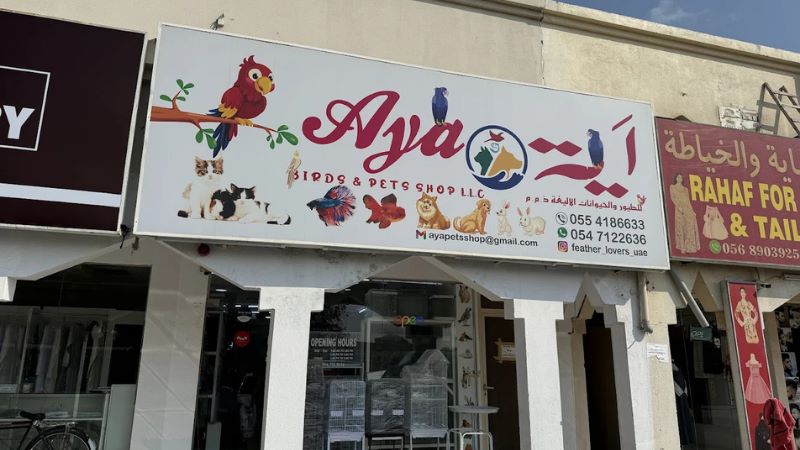 Aya Pet Shop LLC