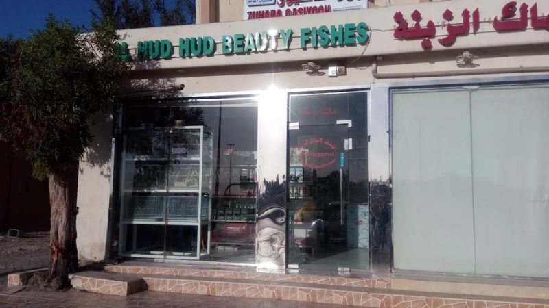 Al Hud Hud Live Fish & Birds