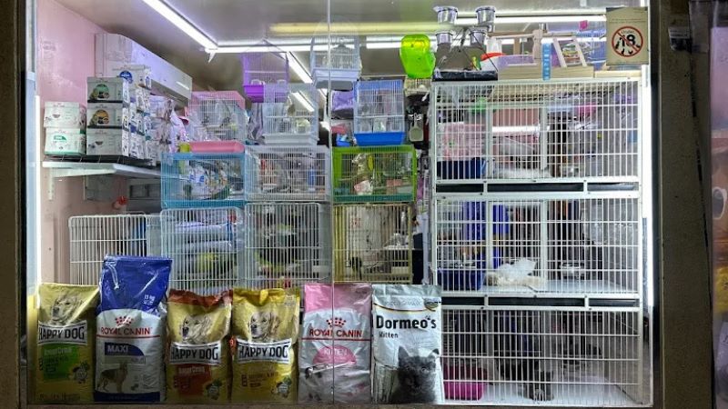 Bird Exhibition – Mina Birds Market in ajman