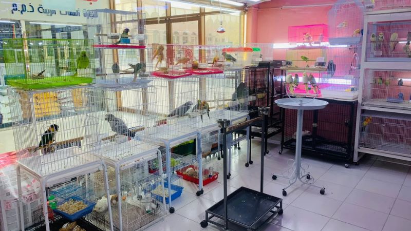 Abu Dhabi Animal Market / Mina Animal Market in ajman