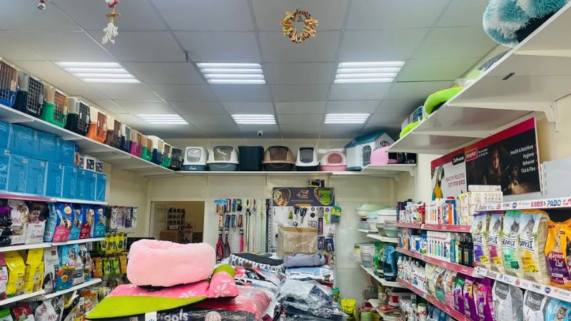 Al Bulbul Pets Animals Trading L.L.C in ajman