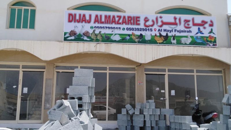Dijaj Almazarie