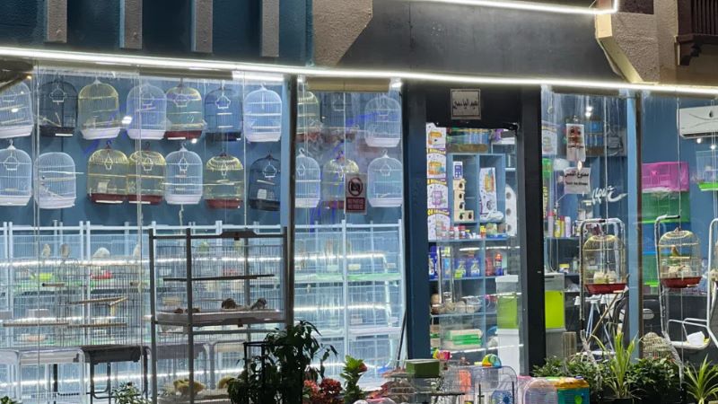 Pet Shop – Ajman Festival Land - pet market in ajman