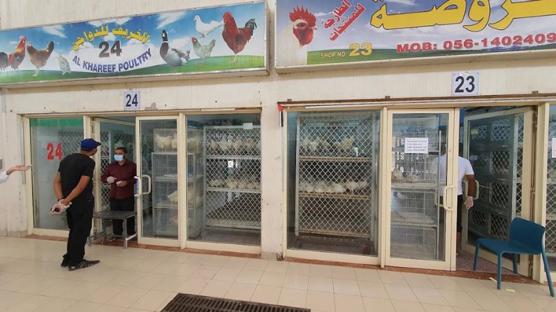 Bird Market – Ajman