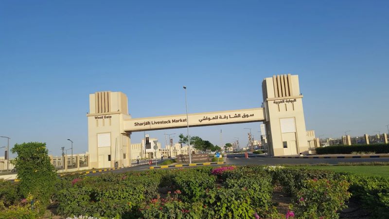 Sharjah Livestock Market - bird market gate in sharjah
