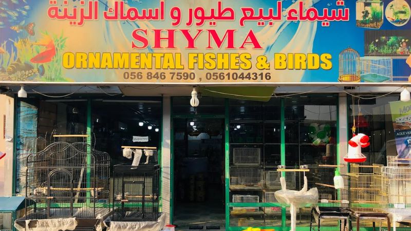Shyma Ornamental Fishes & Birds