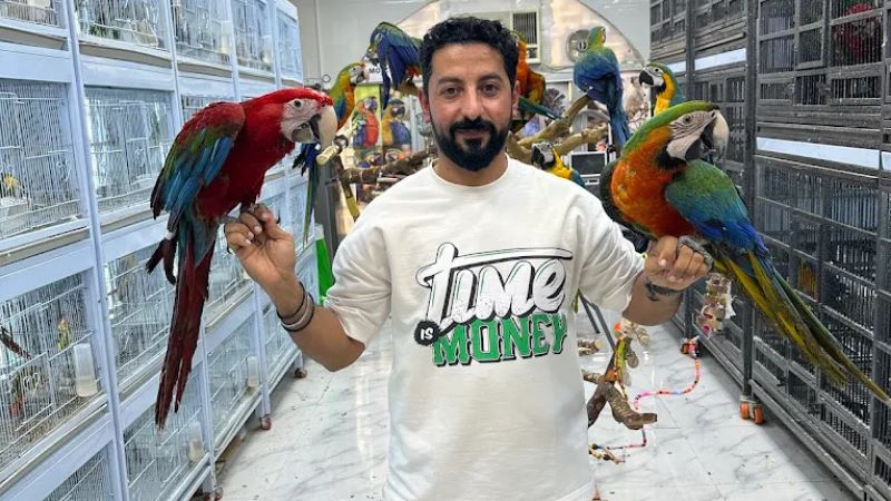 Al Taghreed Birds Trading in sharjah