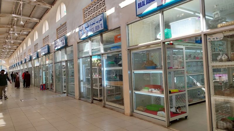 Birds Market - bird market in sharjah