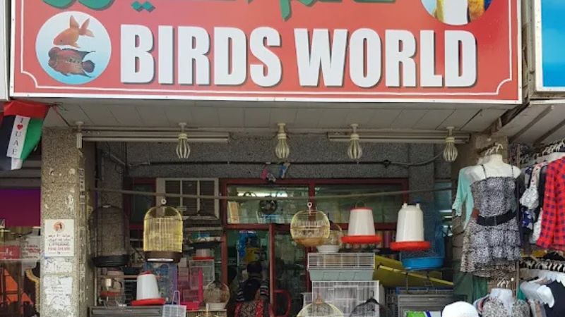 Birds World Market in dubai