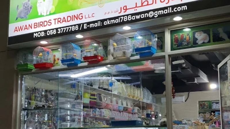 AWAN Birds Trading L.L.C bird market in dubai