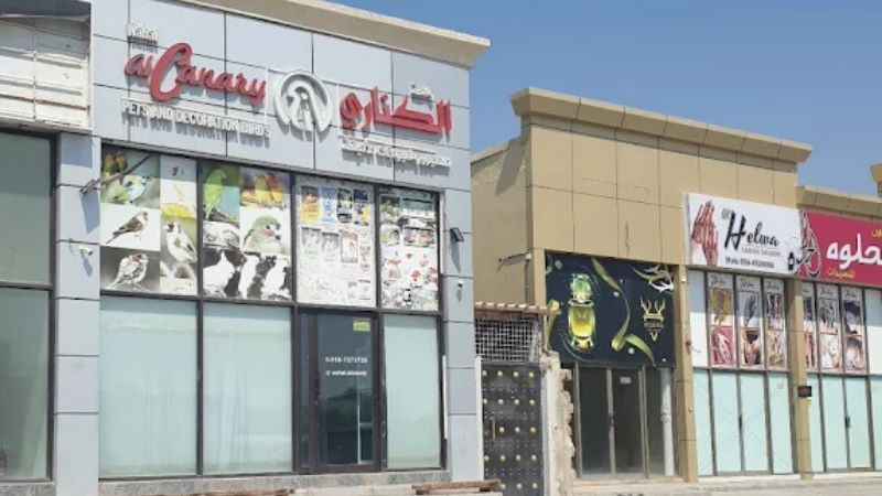Wahat Al Canary Pets & Decoration Birds