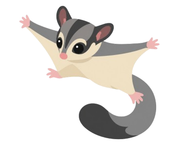 a sugar glider are flying