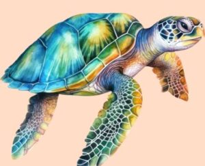 A turtle