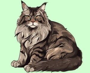 Maine Coon cat sitting against a gray background, showing its large fluffy body and majestic fur