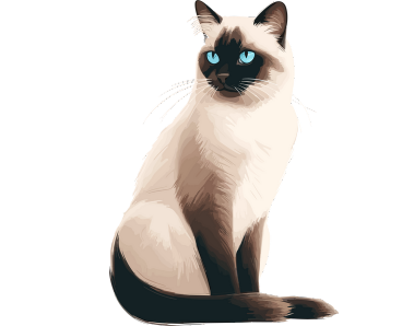 Siamese Cat sitting comfortably in a cozy home environment with striking blue eyes