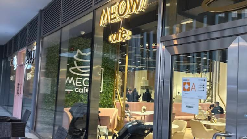 Meow Café main entrance at night in Abu Dhabi, a dog-friendly café with cozy ambiance