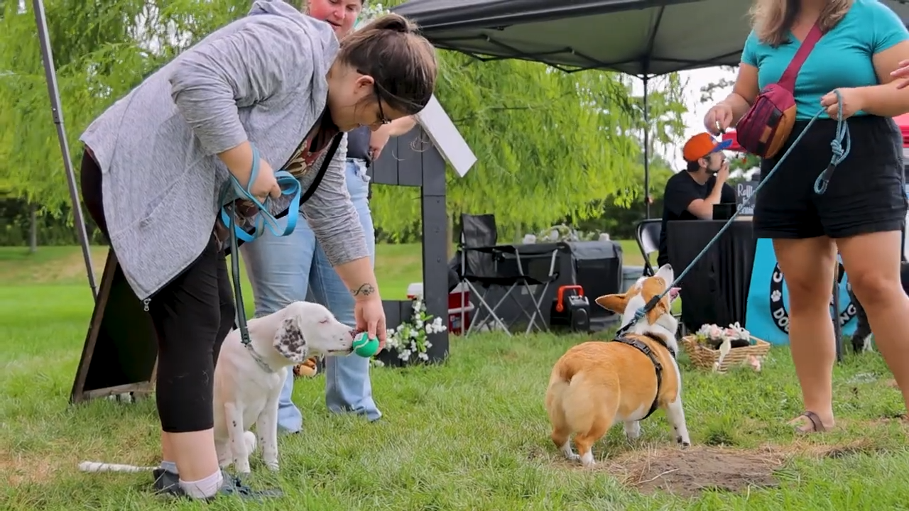 some people with cat at bark park in abu dhabi