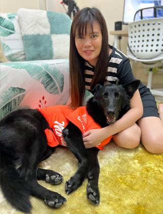 Dog Sitter in UAE of Pawland - 6