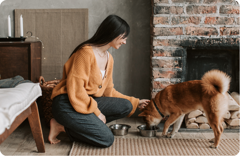 In-Home Dog Sitting in UAE with Pawland