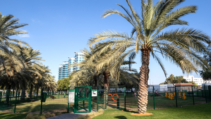 Zaafarana Small Dog Park at abu dhabi