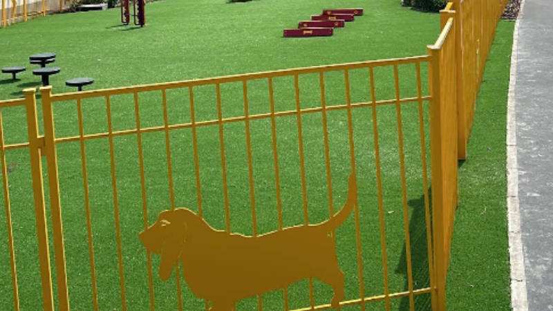 NYUAD Dog Park at abu dhabi